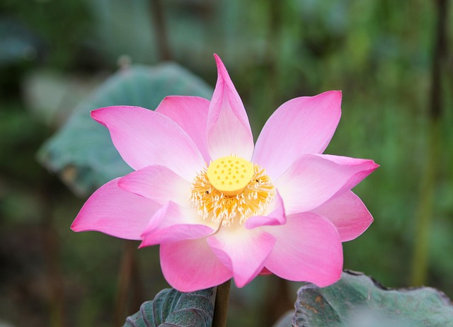 G7068f019de246c367bfbbf511662fa811d1ad677c51a8f77f1f883b3a978a8c0ab921d493c80ad1abee5735d70662b2673ad2c3664047f6c42dadea519d06a07 640